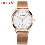 OLEVS Quartz Ladies Watch 2017 Top Brand Luxury Full Steel Gold Watches Fashion Sport Clock Women Wristwatches relogio feminino